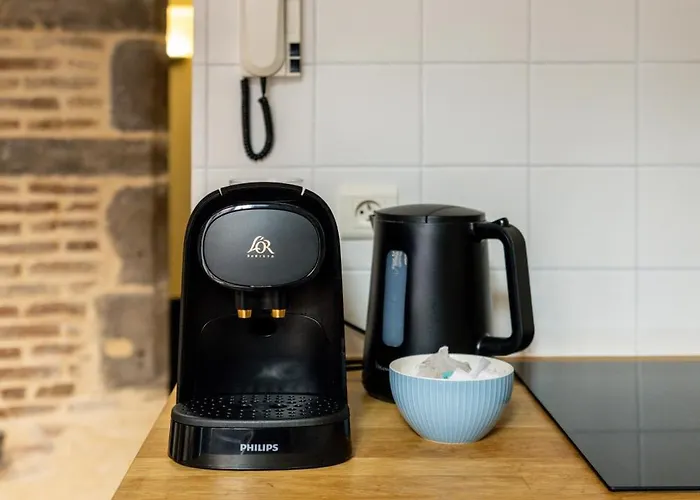 דירה Cosy & Duplex - Au Coeur De La Vieille קלרמונט-פרנד