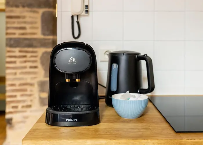 Cosy & Duplex - Au Coeur De La Vieille דירה קלרמונט-פרנד